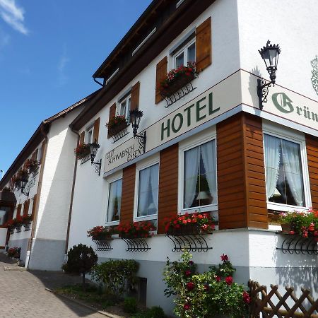 Hotel Landgasthof Gruner Baum Hochdorf  Extérieur photo