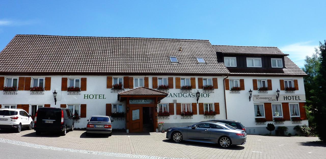 Hotel Landgasthof Gruner Baum Hochdorf  Extérieur photo